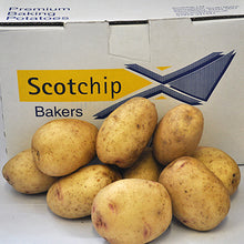 Load image into Gallery viewer, 15kg Scotchip Boxed Baker
